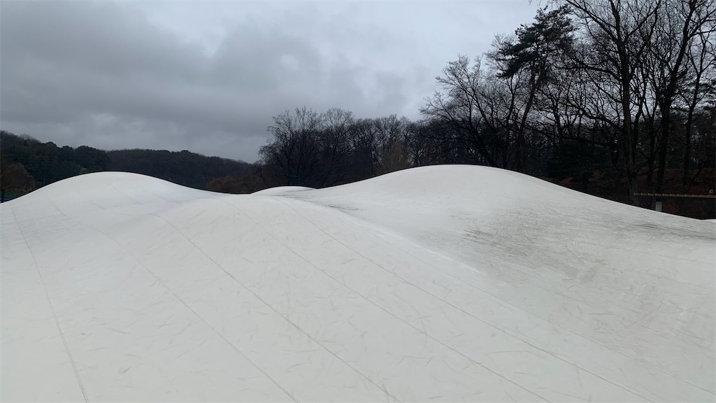 f:id:setagoto:20240229125807j:image