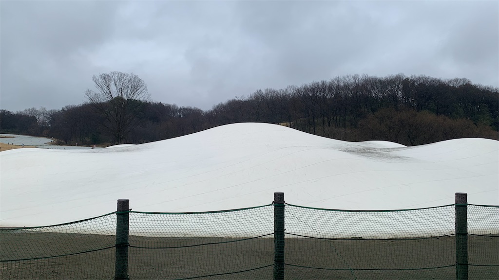 f:id:setagoto:20240229125845j:image