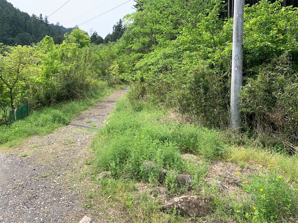 f:id:setagoto:20240503082714j:image