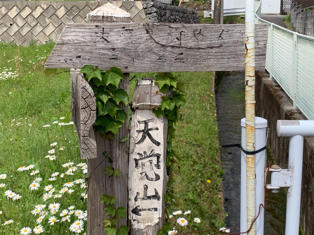 f:id:setagoto:20240503082717j:image