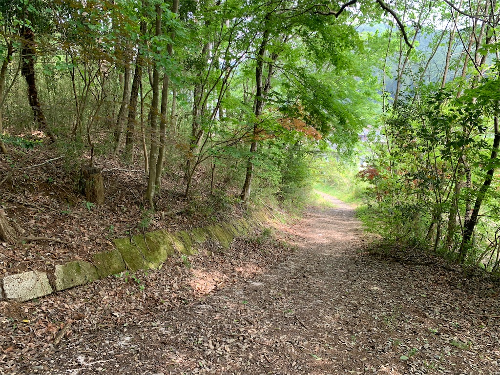 f:id:setagoto:20240503082947j:image