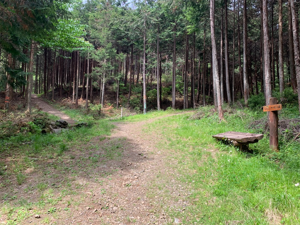 f:id:setagoto:20240503083008j:image