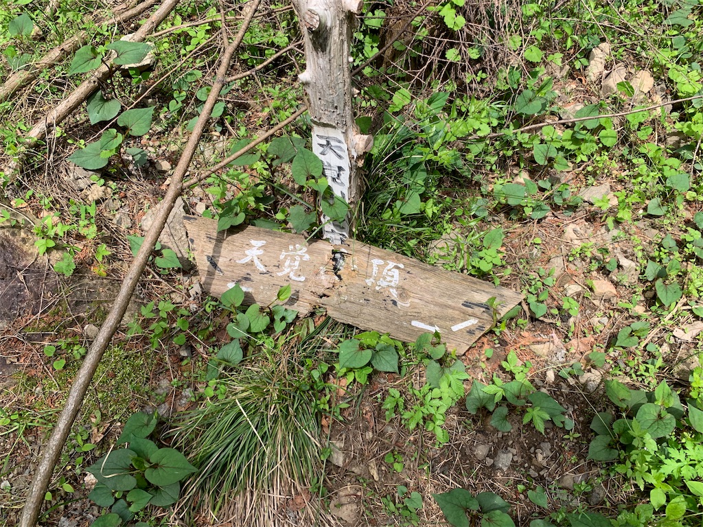 f:id:setagoto:20240503083022j:image