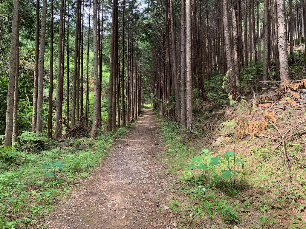 f:id:setagoto:20240503083339j:image