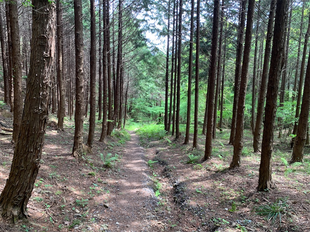 f:id:setagoto:20240503083402j:image