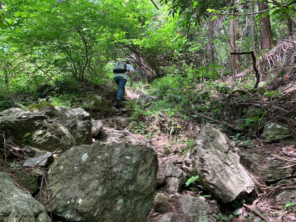 f:id:setagoto:20240503173912j:image