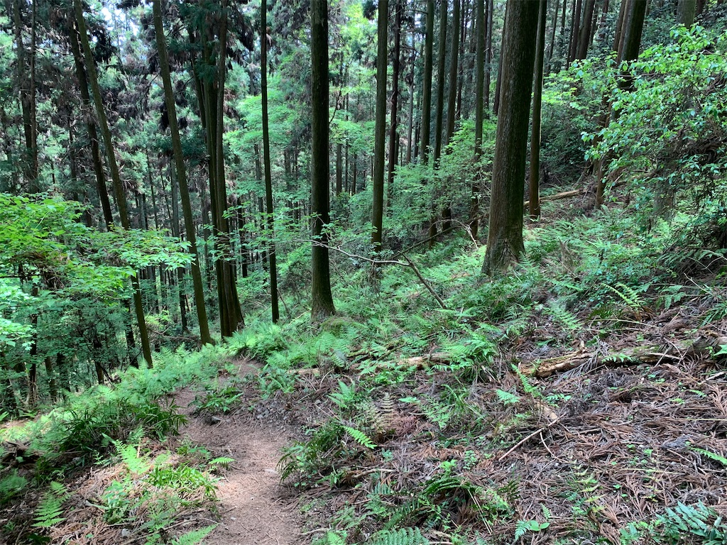 f:id:setagoto:20240503175053j:image