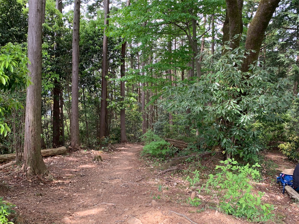 f:id:setagoto:20240503175830j:image