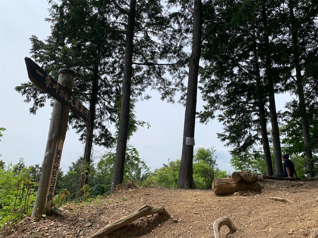 f:id:setagoto:20240503180433j:image