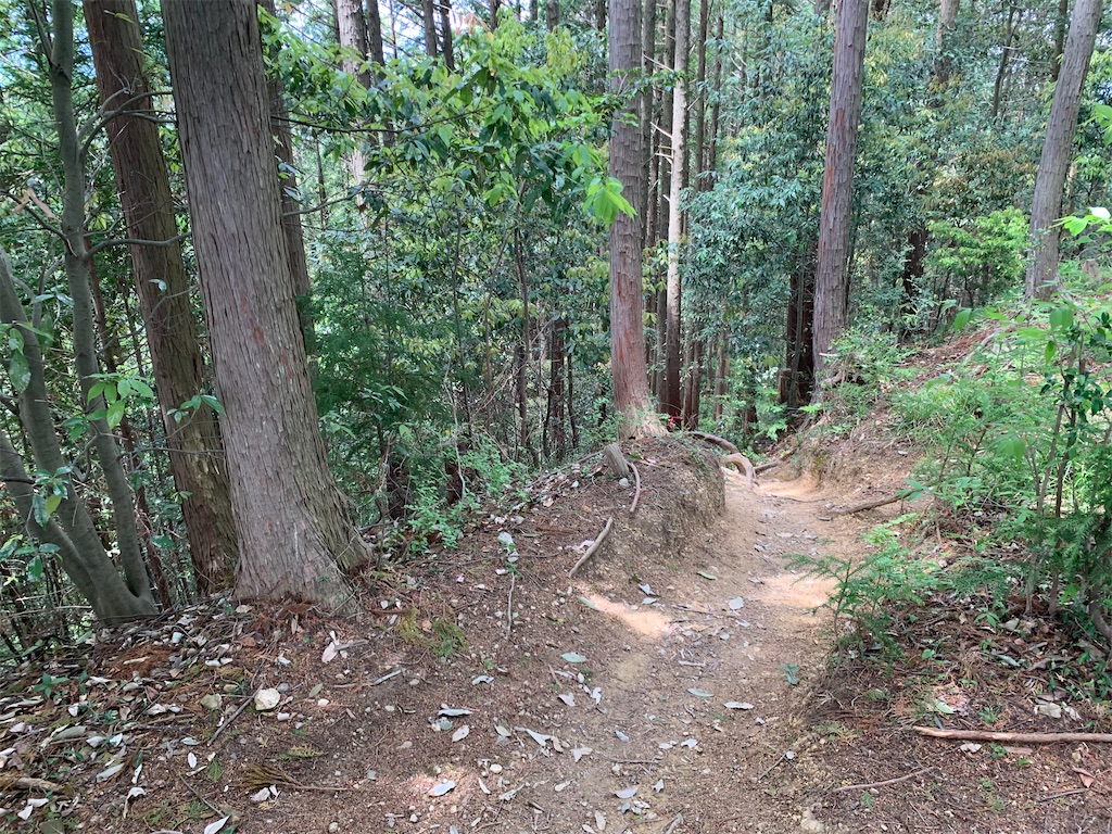 f:id:setagoto:20240505114022j:image