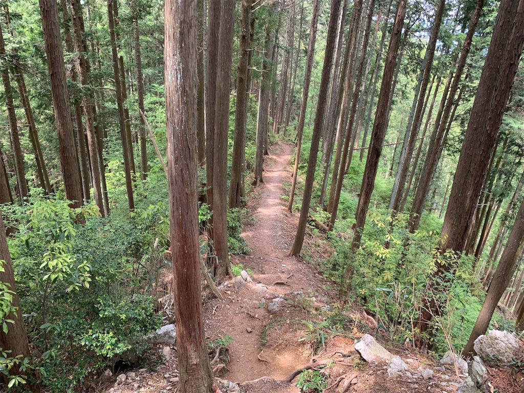 f:id:setagoto:20240505114310j:image