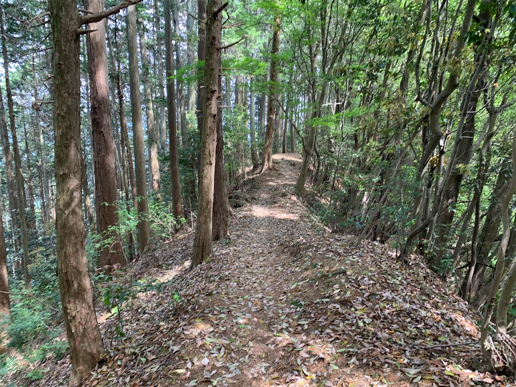 f:id:setagoto:20240505114654j:image