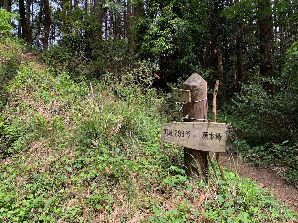 f:id:setagoto:20240505114657j:image