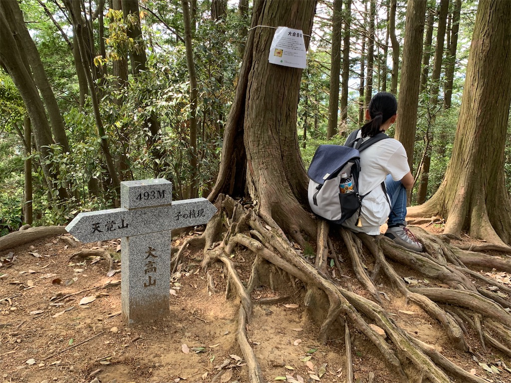 f:id:setagoto:20240505114705j:image