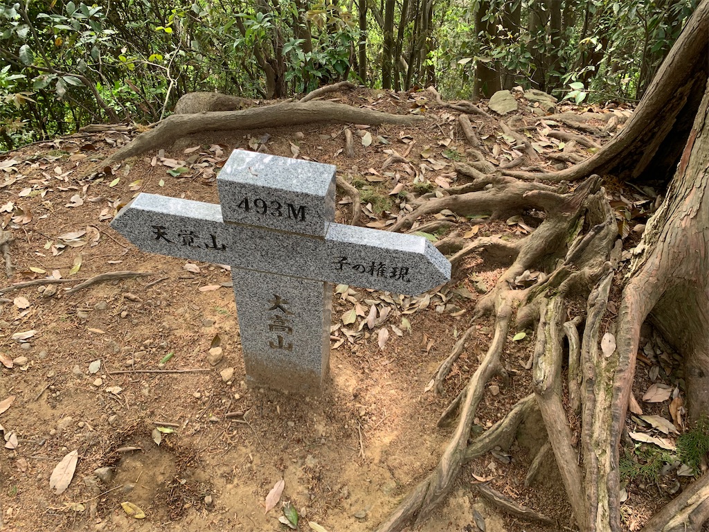 f:id:setagoto:20240505114717j:image