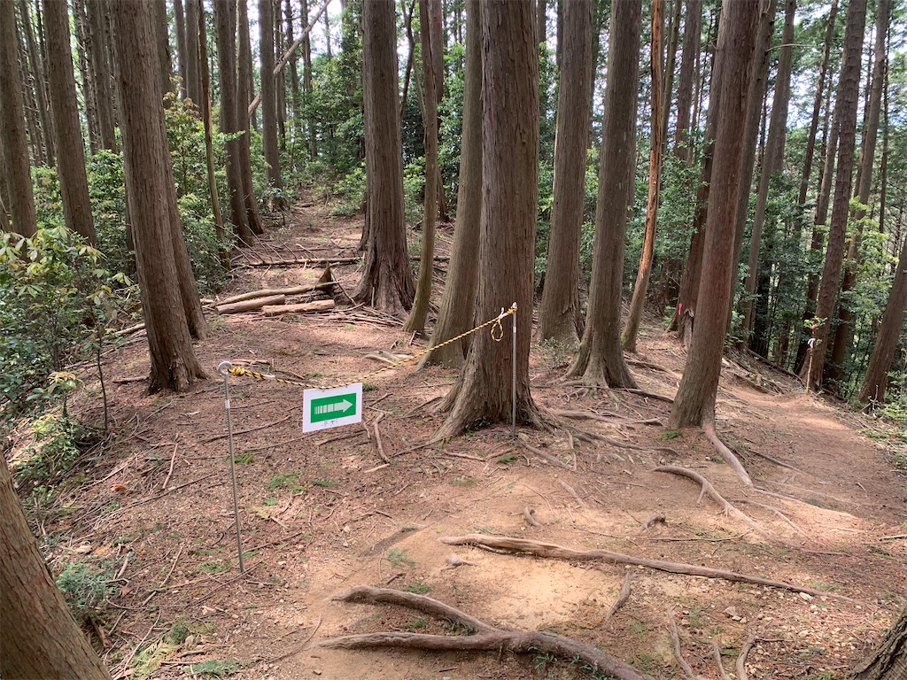 f:id:setagoto:20240505114853j:image