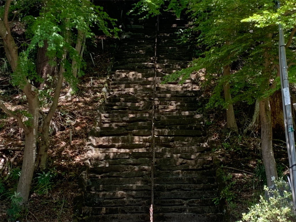 f:id:setagoto:20240509075220j:image f:id:setagoto:20240509075220j:image