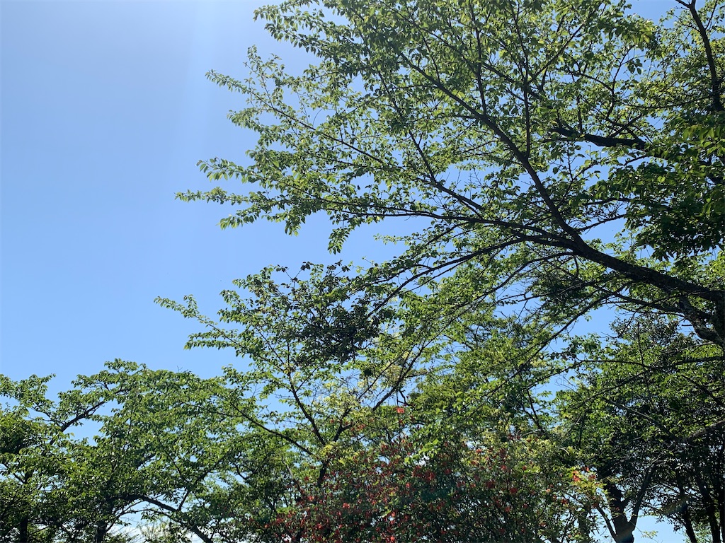 f:id:setagoto:20240511200455j:image f:id:setagoto:20240511200455j:image