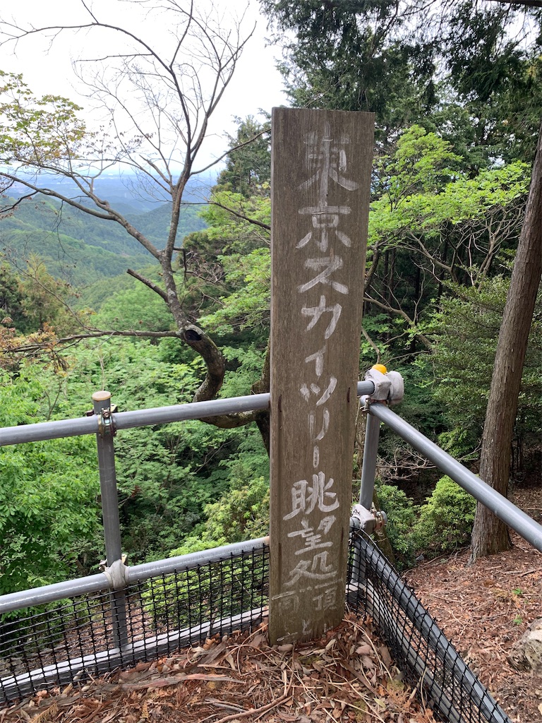 f:id:setagoto:20240515082609j:image