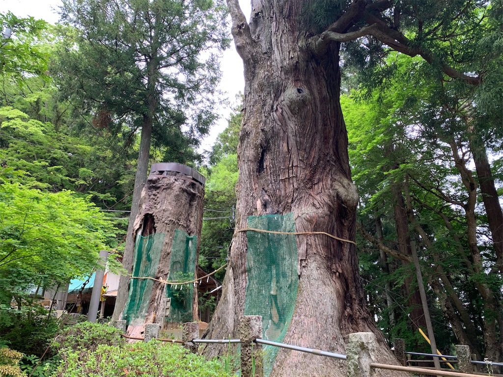 f:id:setagoto:20240515082755j:image