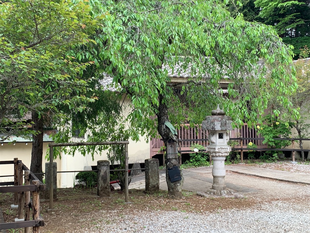 f:id:setagoto:20240515082805j:image