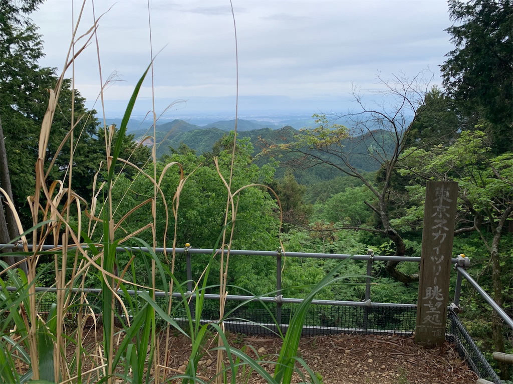 f:id:setagoto:20240515082818j:image