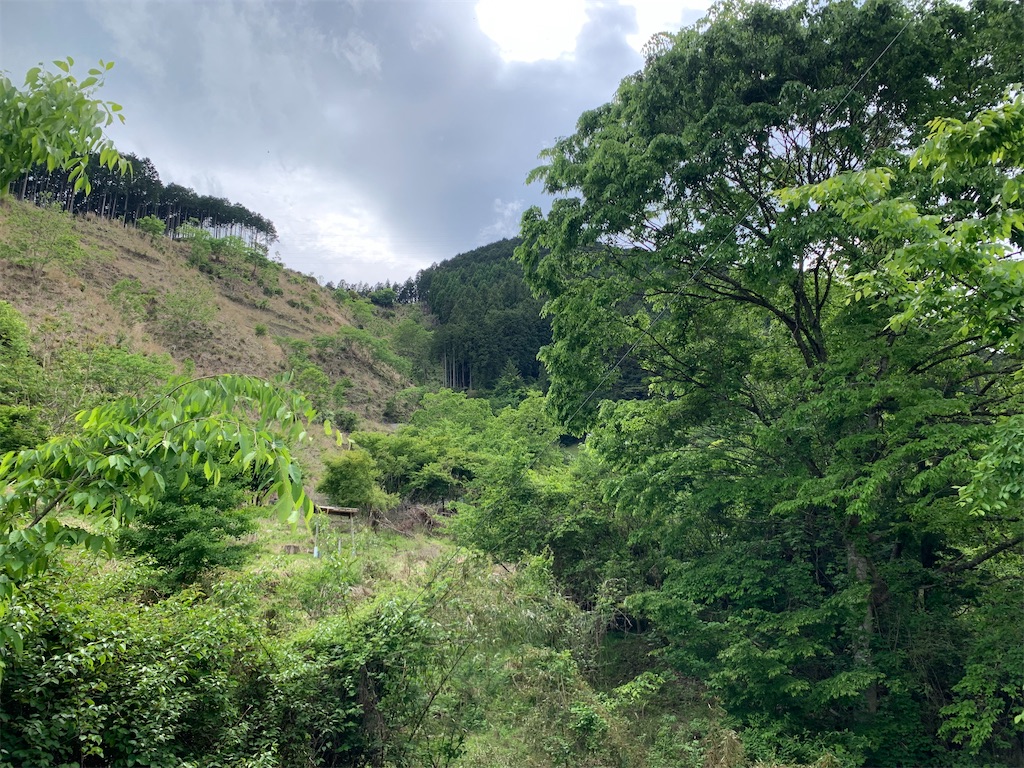 f:id:setagoto:20240524081023j:image f:id:setagoto:20240524081023j:image