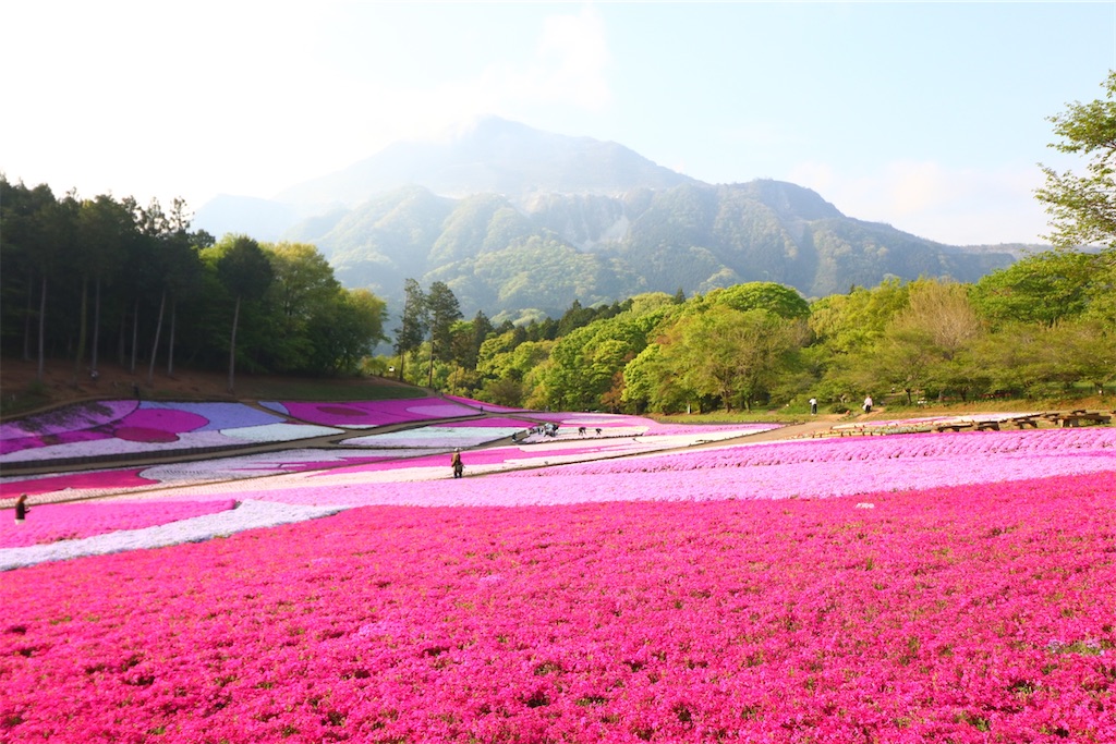 f:id:setagoto:20260422220144j:image f:id:setagoto:20260422220144j:image