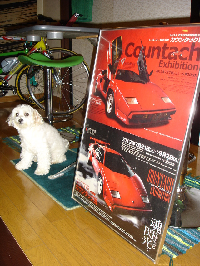 f:id:setakayabase:20200205223201j:plain