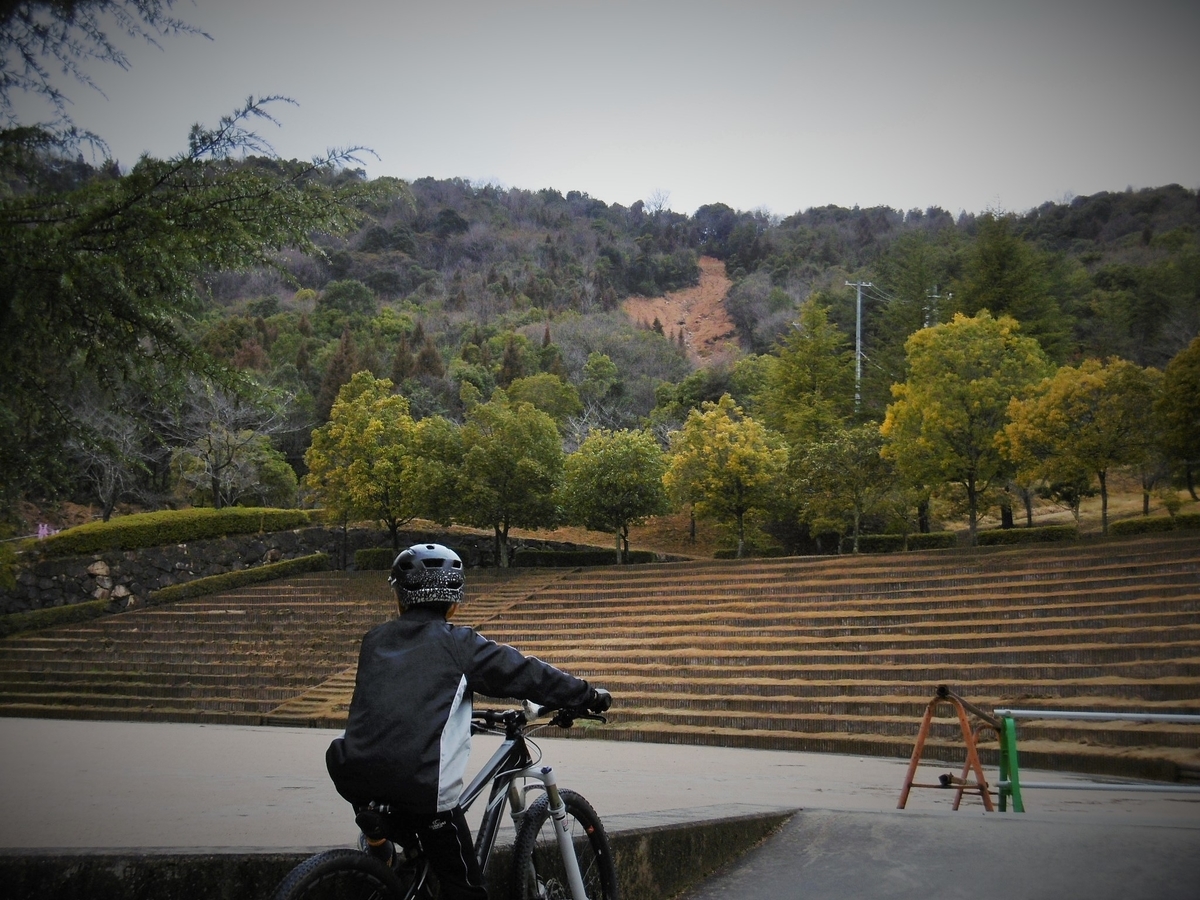 f:id:setakayabase:20200308074844j:plain