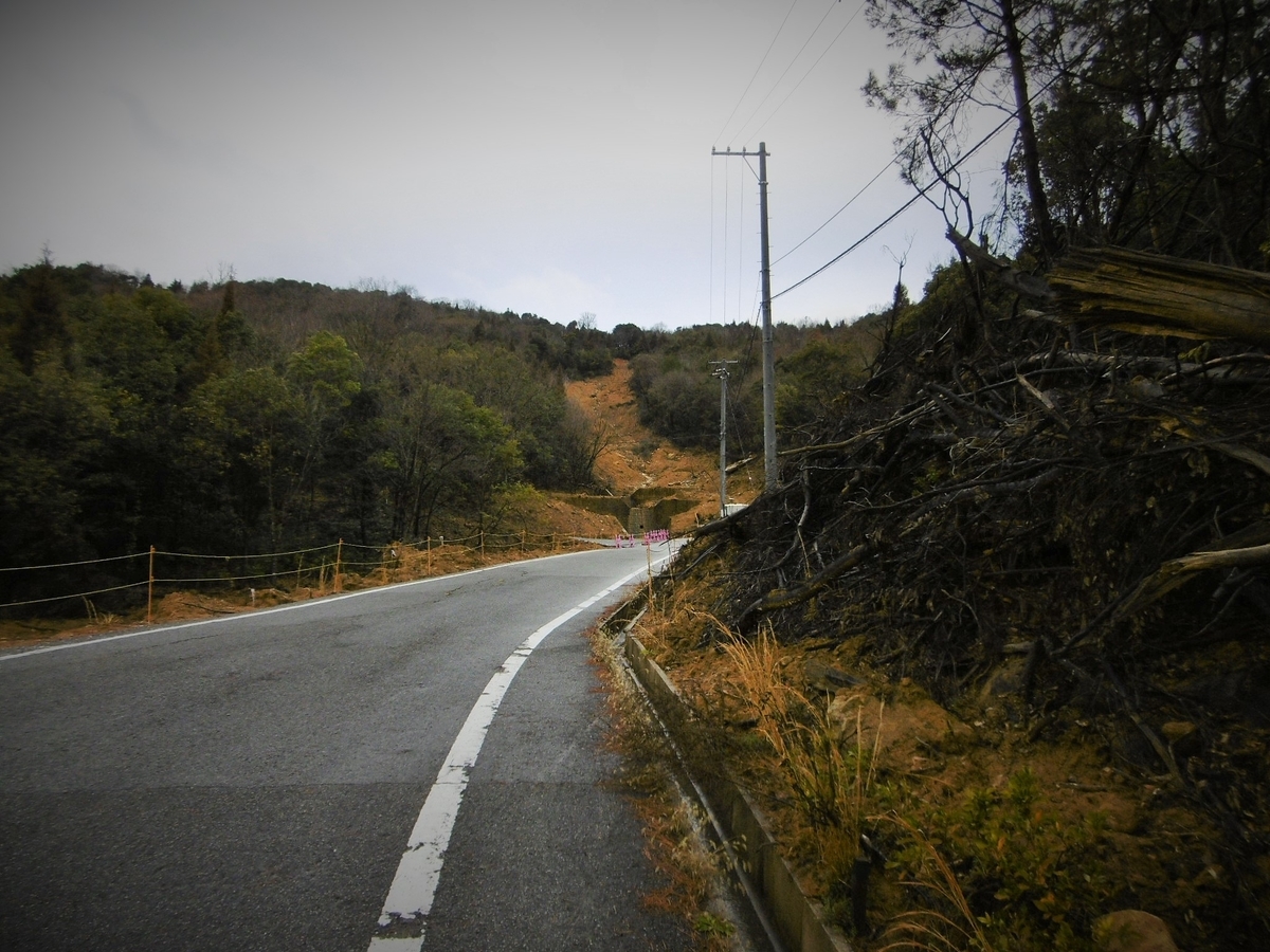 f:id:setakayabase:20200308075426j:plain