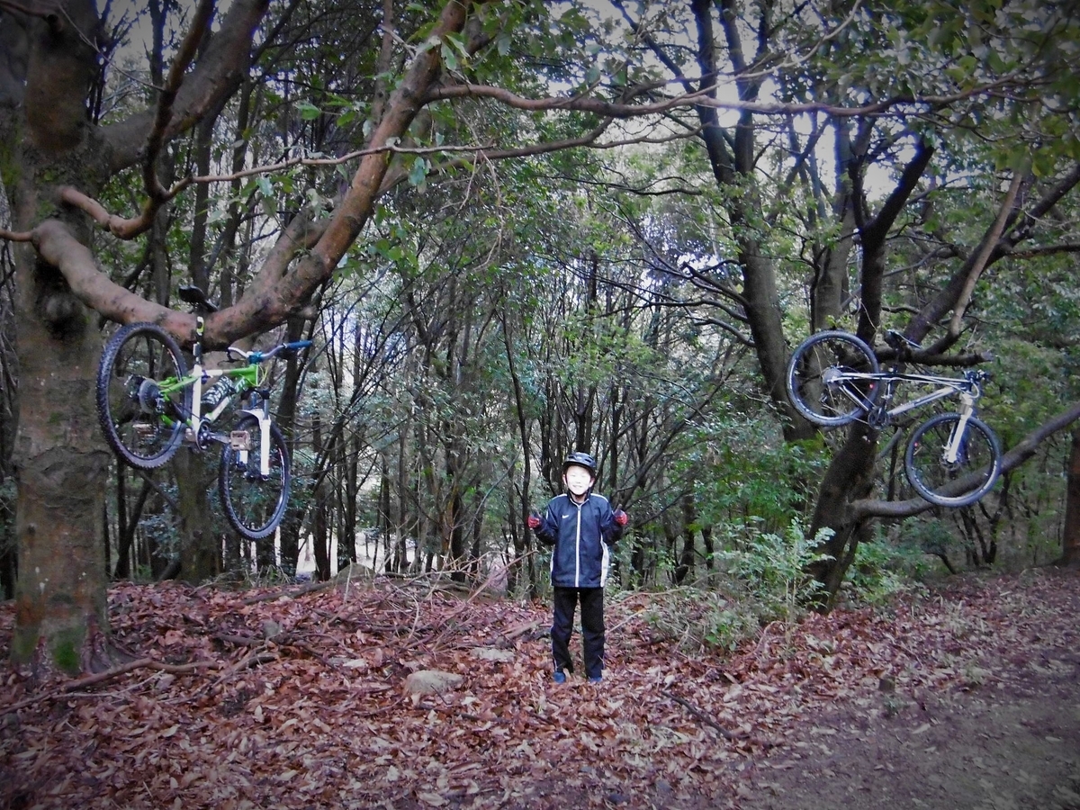 f:id:setakayabase:20200308080131j:plain