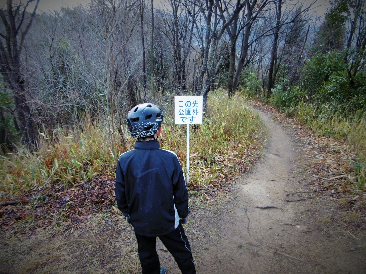 f:id:setakayabase:20200308083747j:plain