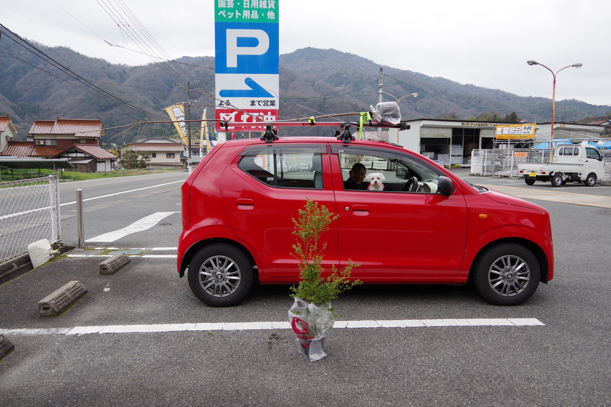 f:id:setakayabase:20200322235107j:plain