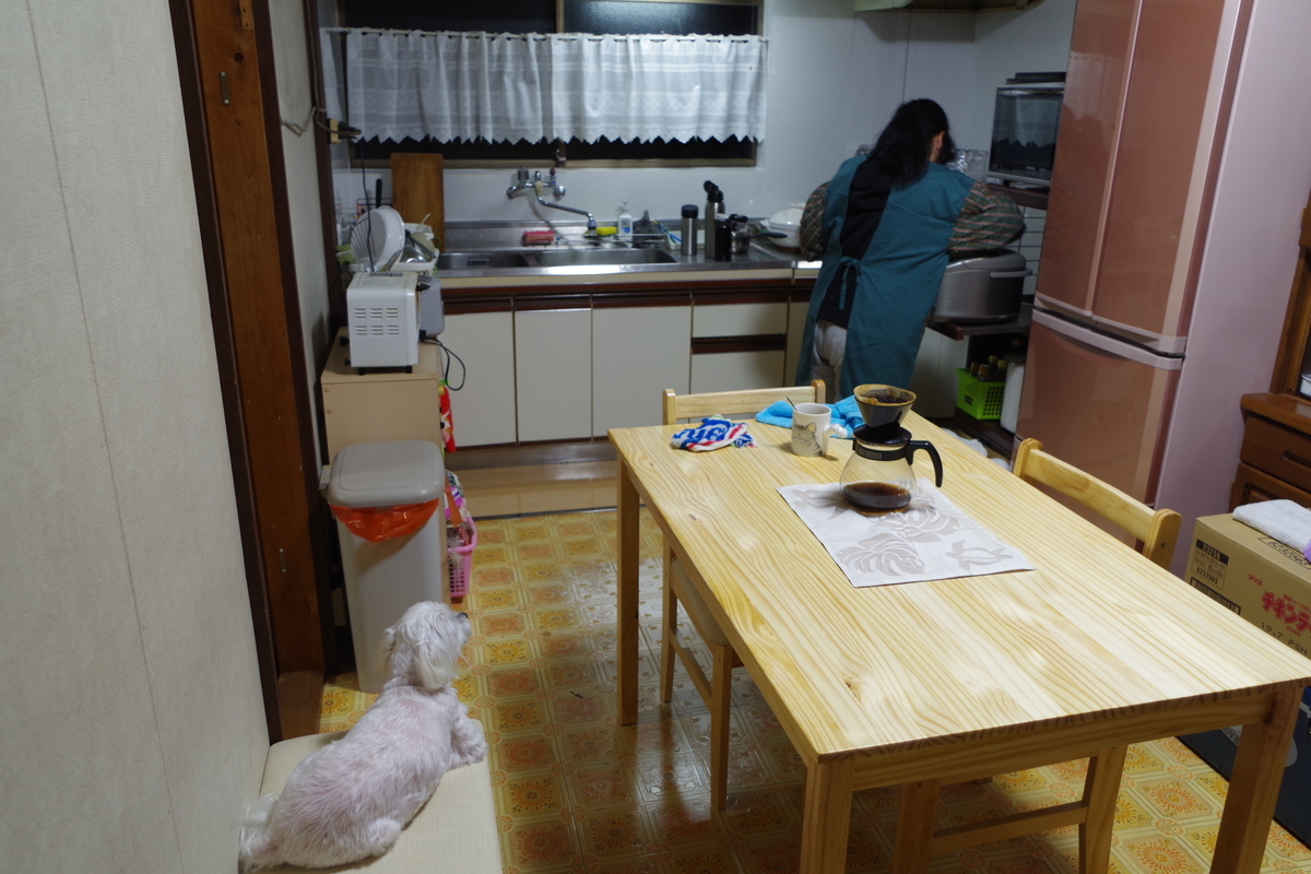 f:id:setakayabase:20200329063702j:plain