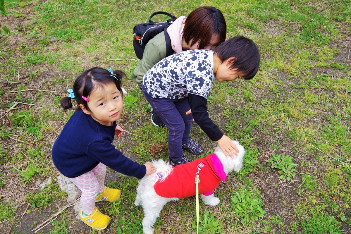 f:id:setakayabase:20200401054105j:plain f:id:setakayabase:20200401054105j:plain