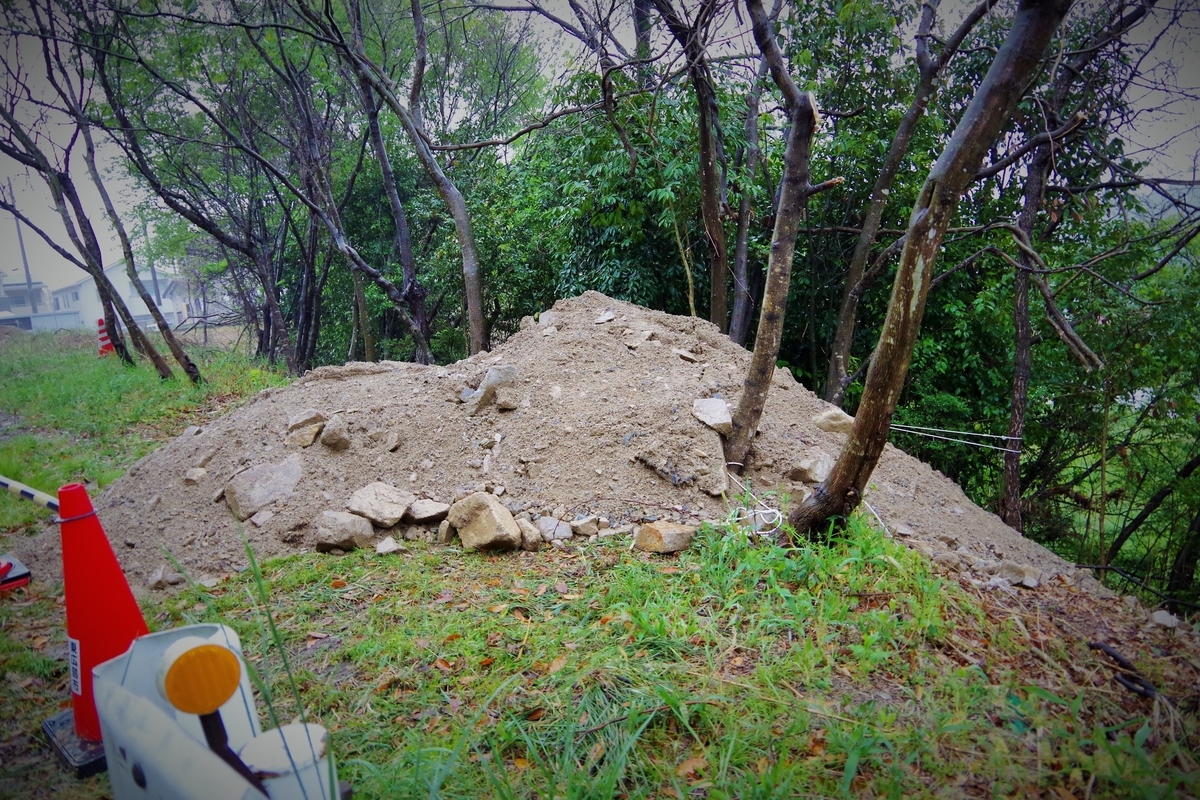 f:id:setakayabase:20200504001933j:plain