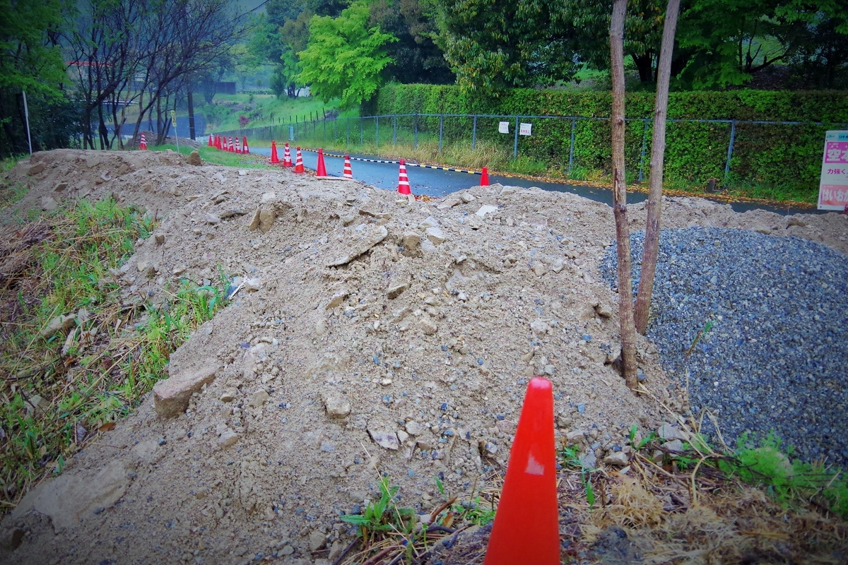 f:id:setakayabase:20200504003918j:plain