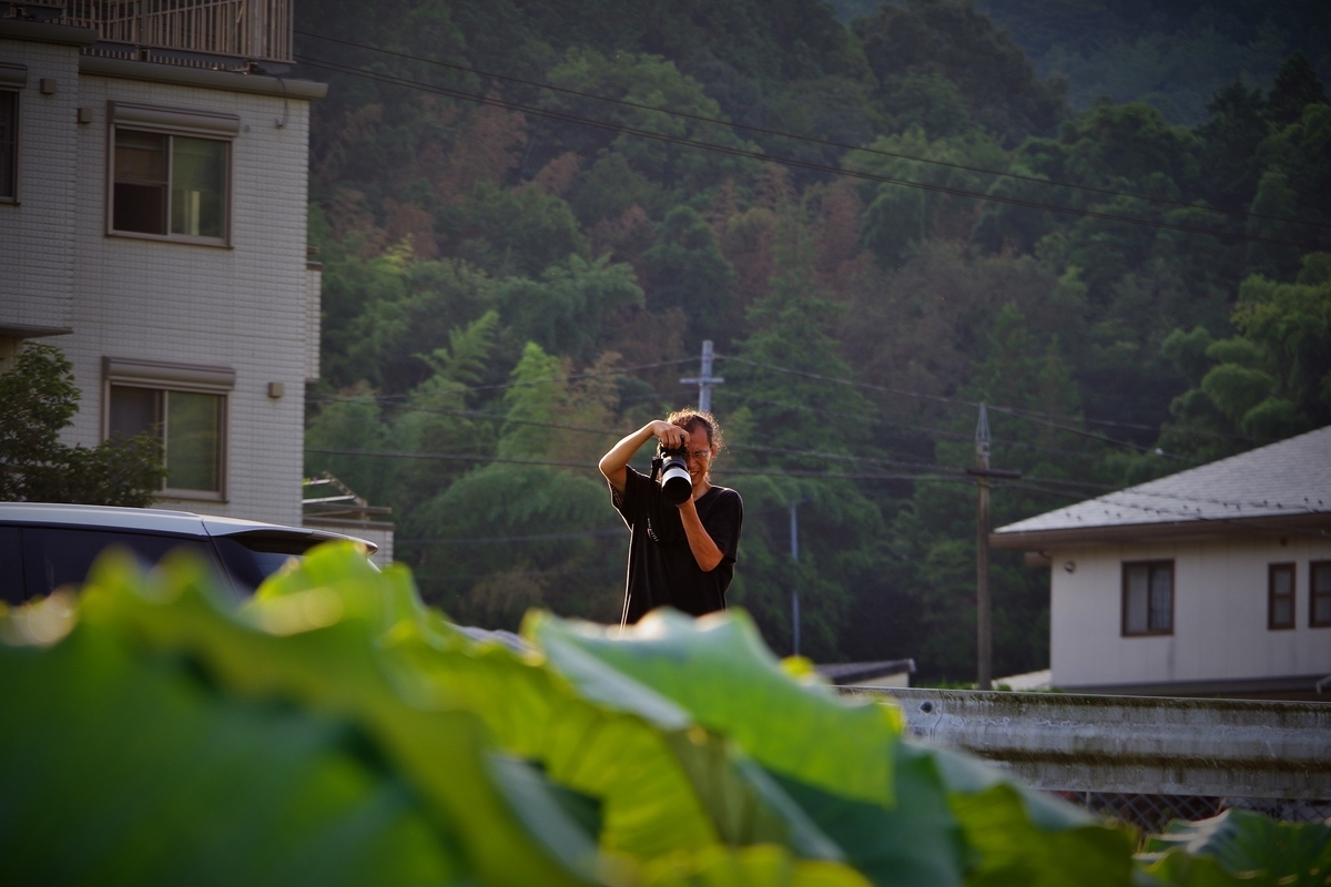 f:id:setakayabase:20200831065127j:plain f:id:setakayabase:20200831065127j:plain