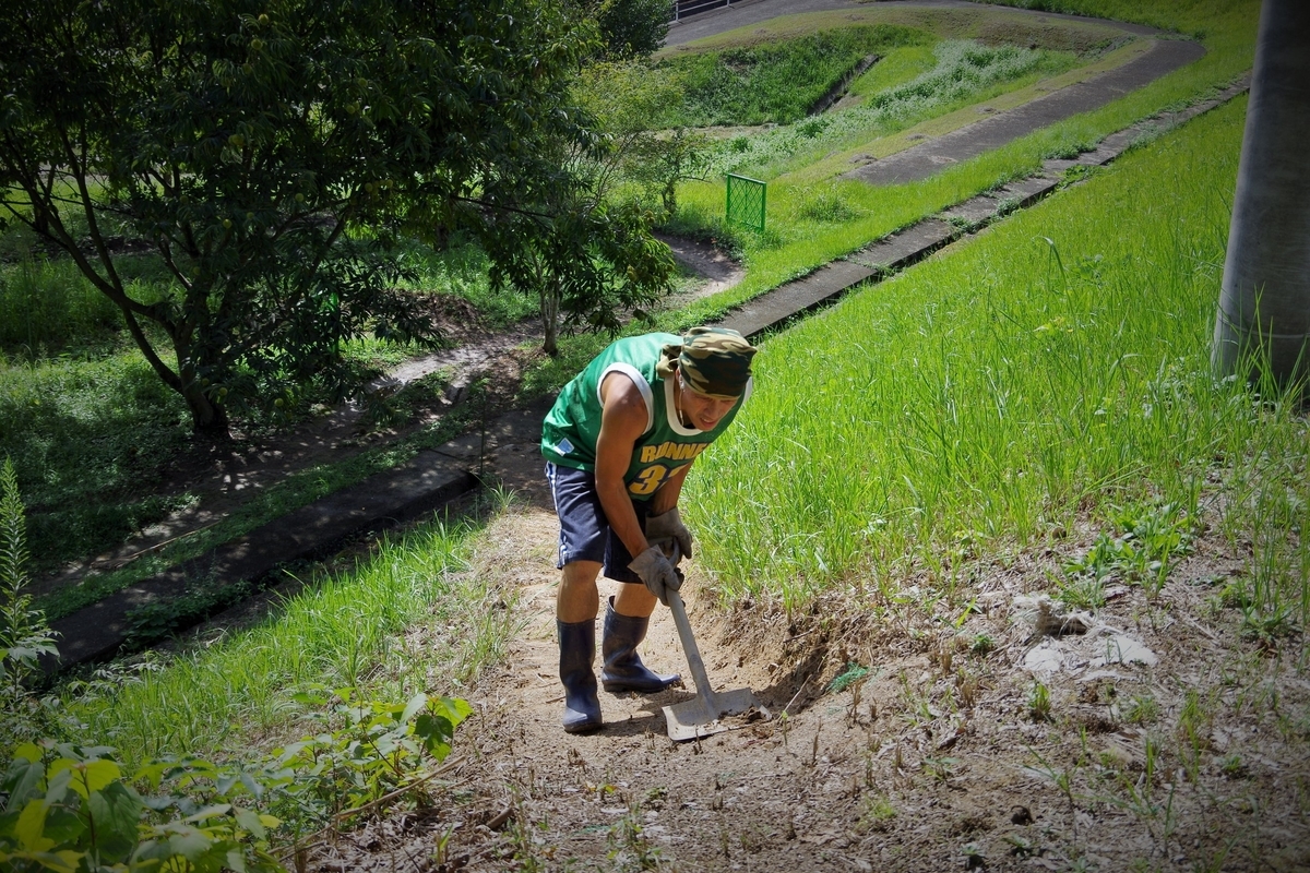 f:id:setakayabase:20200919185208j:plain