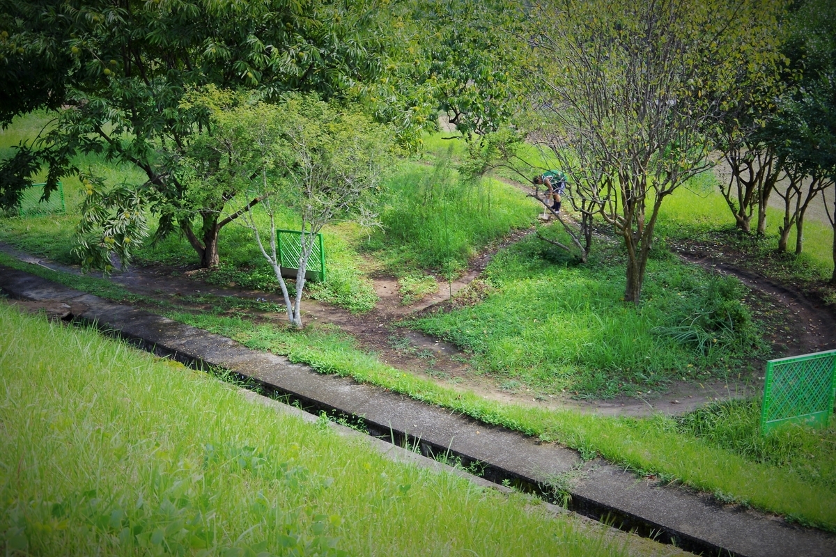 f:id:setakayabase:20200919185421j:plain