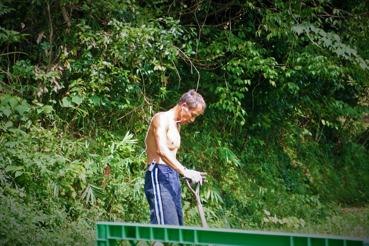 f:id:setakayabase:20200919185902j:plain