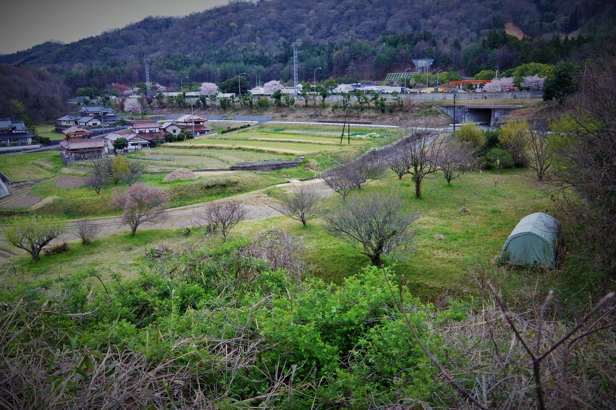 f:id:setakayabase:20201022043829j:plain f:id:setakayabase:20201022043829j:plain