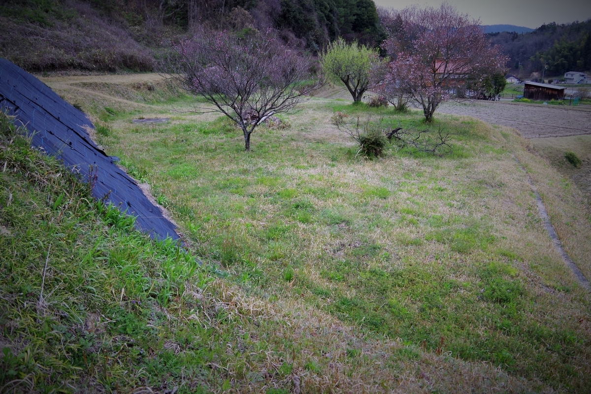 f:id:setakayabase:20201022044359j:plain f:id:setakayabase:20201022044359j:plain