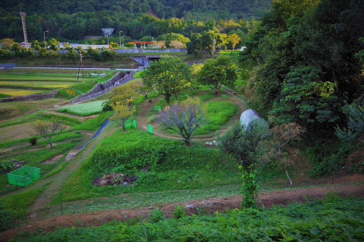 f:id:setakayabase:20201022053013j:plain f:id:setakayabase:20201022053013j:plain