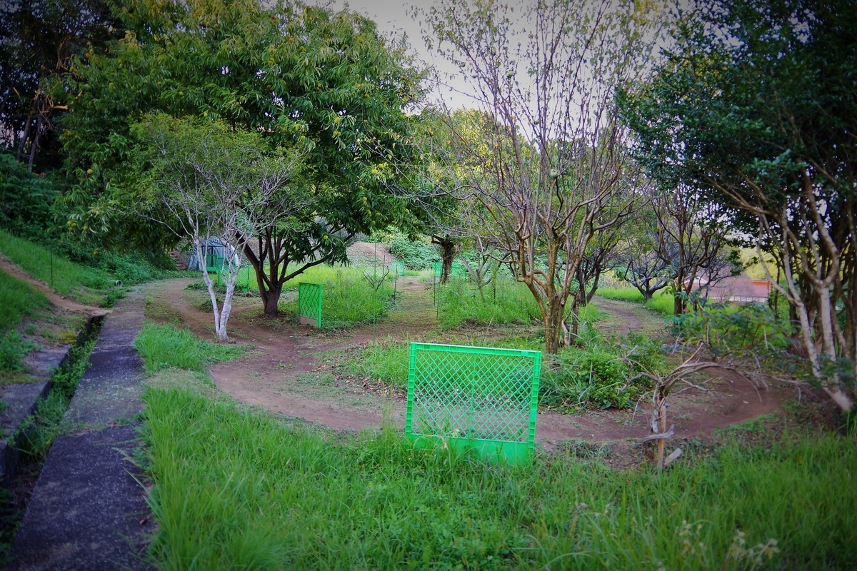 f:id:setakayabase:20201022053134j:plain f:id:setakayabase:20201022053134j:plain