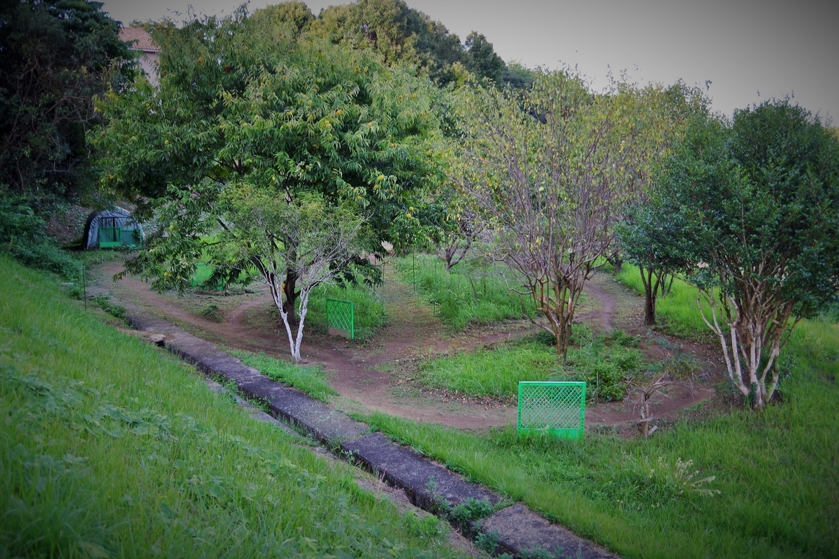 f:id:setakayabase:20201022053201j:plain f:id:setakayabase:20201022053201j:plain