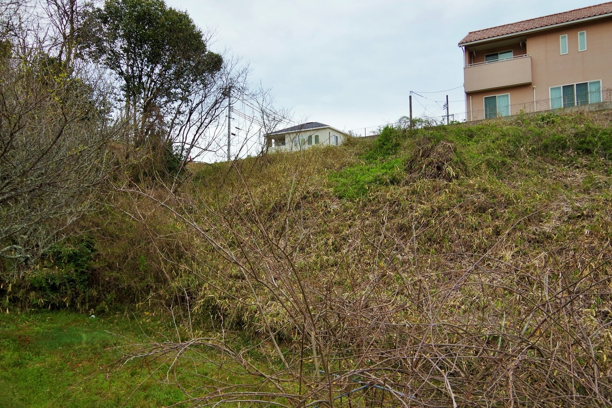 f:id:setakayabase:20201022053929j:plain f:id:setakayabase:20201022053929j:plain