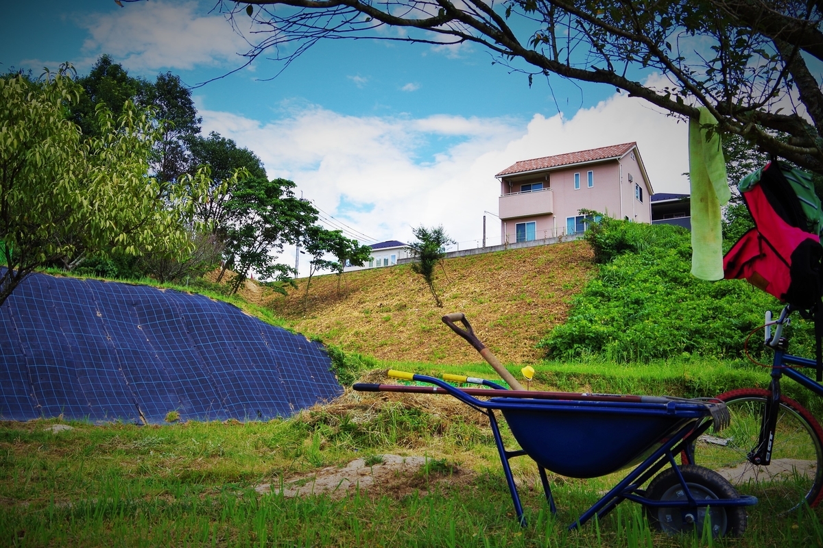 f:id:setakayabase:20201022053934j:plain f:id:setakayabase:20201022053934j:plain