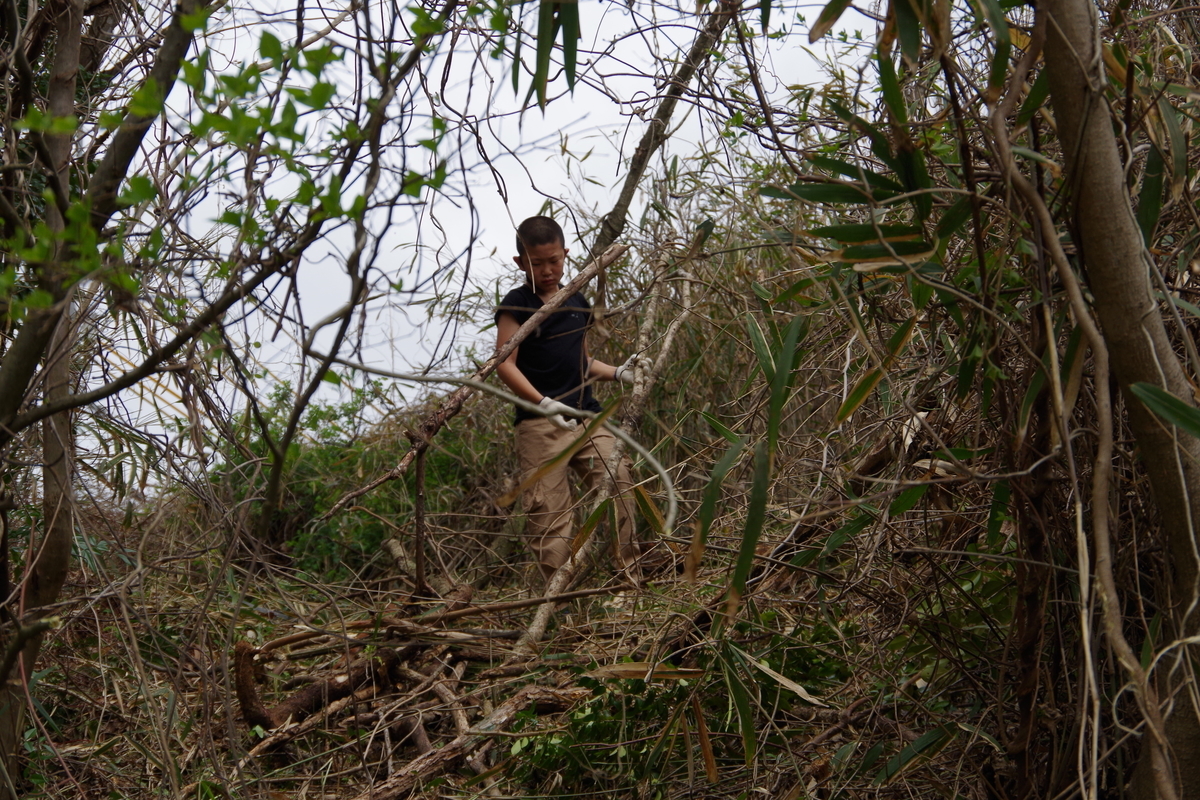 f:id:setakayabase:20201022055431j:plain f:id:setakayabase:20201022055431j:plain